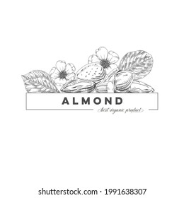 Cartel de composición de almendras, ilustración vectorial retro dibujada a mano.