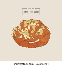 almond croissant hand draw 