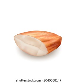 Almond Cut Nut Kernel Vitamin Natural Food Vector. Chopped Organic Almond Piece. Cracked Garden Seasonal Tree Plant Harvesting Vegetarian Bio Nourishment Template Realistic 3d Illustration