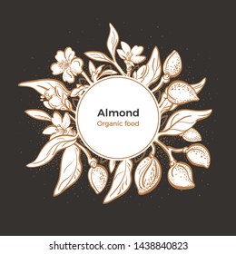 Almond design in circle. Vector natural nut. Botanical branch, fruit, leaf, flower. Realistic illustration on black background. Art shape, vintage graphic sketch. Organic nature milk, bio oil 