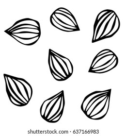 Almond. Doodle Style Vector Background, Isolated on White.