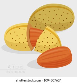 Icono vector de diseño plano de almendra. Colección de plantillas de menú especias y hierbas aromáticas.
