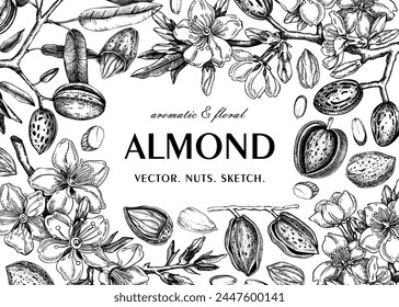 Almond frame design. Spring background. Blooming  branches, nuts, flower sketches. Healthy food hand-drawn illustration of almond nuts. NOT AI generated