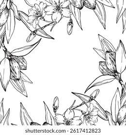 Almond frame vector illustrations hand drawn with ink. Square border with black and white nuts, flowers, branches and leaves. Template for food and drink label design
