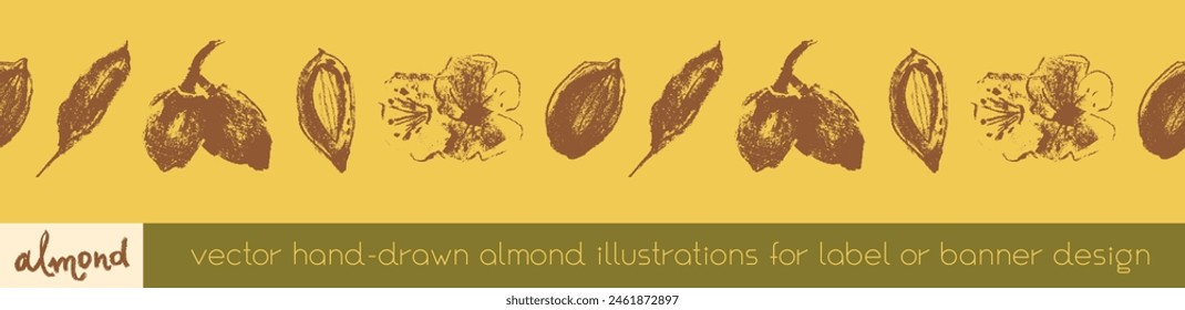 Marcos de almendra para el fondo de Anuncio o diseño de Plantilla de etiqueta. Patrón sin costuras de almendra orgánica. Nueces de guirnalda. Dibujos de crayón para envases de almendras o etiquetas de pasta de mazapán. Borde floral de Vector.