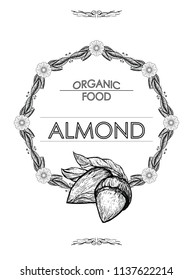 Almond - hand drawn vector illustration. Flower frame - space for brand text. Organic natural food - ingredient for oil, milk. Template for packaging 