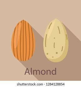 Almond icon. Flat illustration of almond vector icon for web design