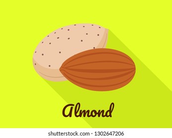 Almond icon. Flat illustration of almond vector icon for web design