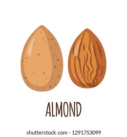Almond icon in flat style isolated on white background. Organic food. Vector illustration. Ingredient for ketogenic diet.