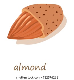 Almond icon. Isometric illustration of almond vector icon for web