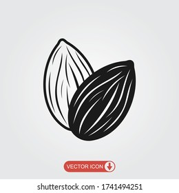 Almond icon. Nut vector illustration isolated  on white background. 