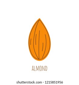 Almond icon nut. Vector illustrationon on white background.