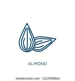 almond icon. Thin linear almond outline icon isolated on white background. Line vector almond sign, symbol for web and mobile