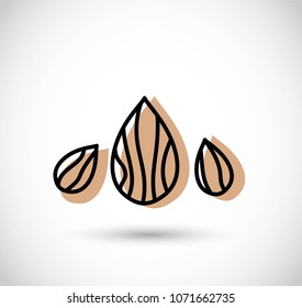 Almond icon vector