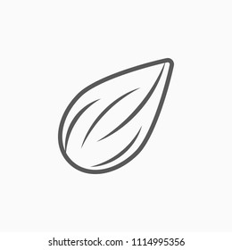 Almond Icon, Almond Vector