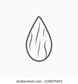 almond icon, almond vector