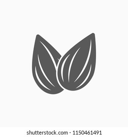 Almond Icon, Almond Vector