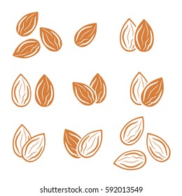 Almond Icon Vector