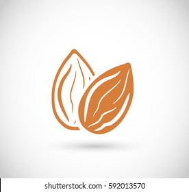 Almond Icon Vector