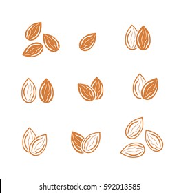 Almond Icon Vector