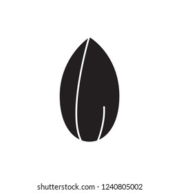 almond icon vector glyph style. nut and bean icon