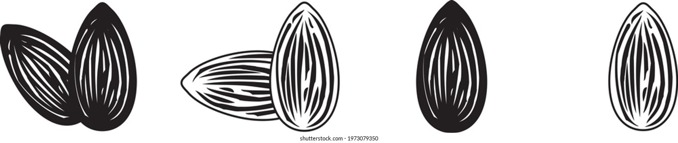 Almond icon , vector illustration