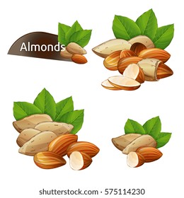 Núcleo de almendra con hojas verdes aislado en la ilustración portadora de fondo blanco. Ingredientes orgánicos, bocadillos vegetarianos tradicionales. Semillas de almendras enteras y de conchas.