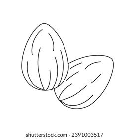 Almond line icon in flat style. Bean vector illustration on isolated background. Nut business concept vector