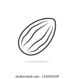 Almond line icon vector