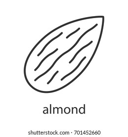 Almond linear icon. Thin line illustration. Contour symbol. Vector isolated outline drawing
