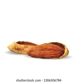 Almond low poly. Fresh, nutritious, tasty almond. Vector illustration. Almond nuts in triangulation technique. 