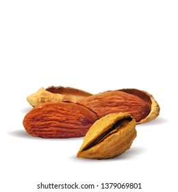 Almond low poly. Fresh, nutritious, tasty almond. Vector illustration. Almond nuts in triangulation technique. 