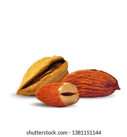 Almond low poly. Fresh, nutritious, tasty almond. Vector illustration. Almond nuts in triangulation technique. 