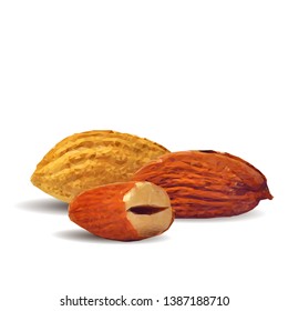 Almond low poly. Fresh, nutritious, tasty almond. Vector illustration. Almond nuts in triangulation technique. 