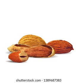 Almond low poly. Fresh, nutritious, tasty almond. Vector illustration. Almond nuts in triangulation technique.