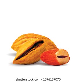 Almond low poly. Fresh, nutritious, tasty almond. Vector illustration. Almond nuts in triangulation technique.