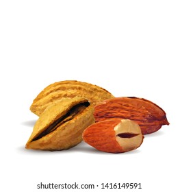 Almond low poly. Fresh, nutritious, tasty almond. Vector illustration. Almond nuts in triangulation technique.
