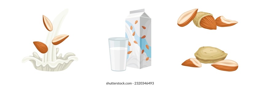 Almond Milk in Carton Pack and Raw Nut Vector Set