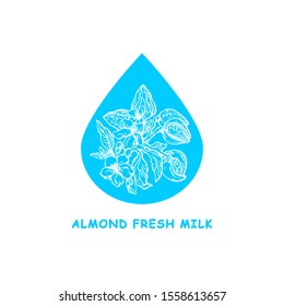 Almond milk, drop. Vector sketch illustration. Nature branch, nuts, leaf and flower. Hand drawing sign. Floral real card. Organic plant, vegan food