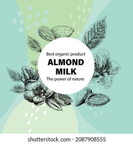 Almond milk frame. Sketchy hand-drawn vector illustration.