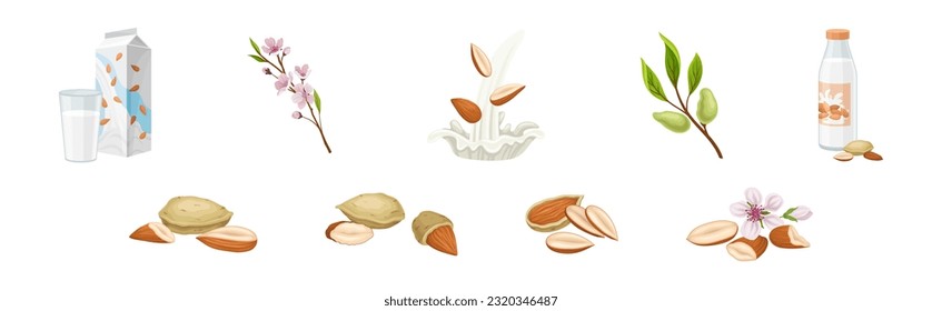 Almond Milk of Raw Nut with Blooming Branch Vector Set