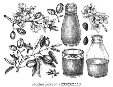 Almond milk set. Dairy products design elements. Plant milk in glass, bottle, almond nut, blooming branches with leaves and flowers sketches. Nut milk, healthy drink vector illustrations for packaging