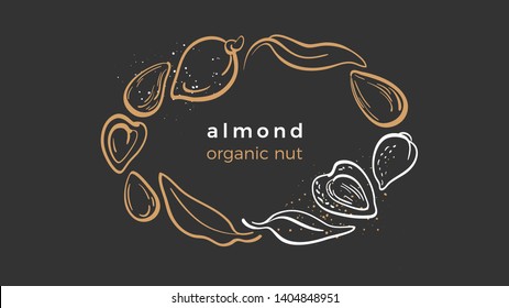 Almond. Natural nut. Packaging design in circle. Vector template. Organic emblem.  Botany art line leaves, bean Golden symbol Food logo on black background Tropical vintage label, card, sticker