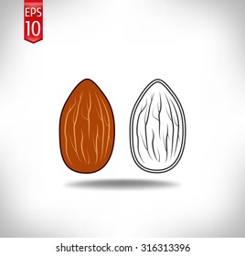 almond. nut