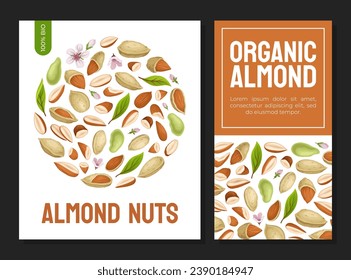 Almond Nut Banner Design with Kernel in Shell Vector Template