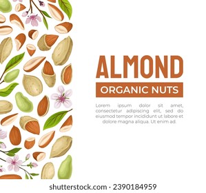 Diseño de banner de nuda almendra con núcleo en plantilla de vector de shell