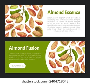 Almond Nut Banner Design with Shell and Kernel Vector Template