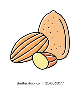 almond nut color icon vector. almond nut sign. isolated symbol illustration