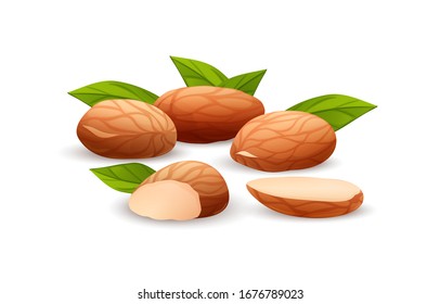 Almond nut composition, different statements. Whole and cracked nuts, hulled and raw kernels and green leaves. Good for labels and stickers, packaging design. Vector illustration in cartoon style, gro