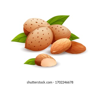 Almond nut composition, different statements. Whole and cracked nuts, hulled and raw kernels and green leaves. Good for labels and stickers, packaging design. Vector illustration in cartoon style